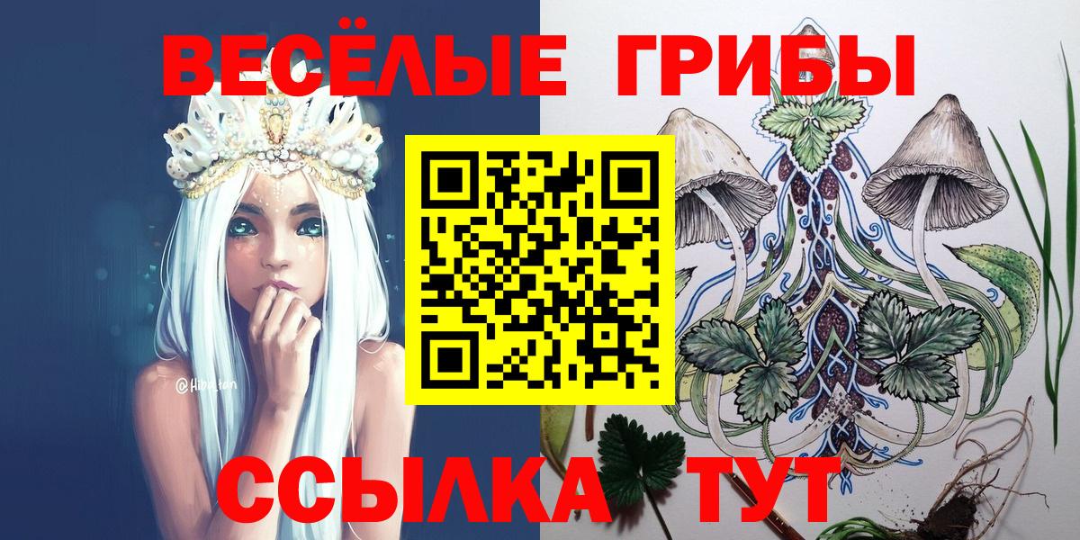 Галлюциногенные грибы Psilocybine cubensis Всеволожск